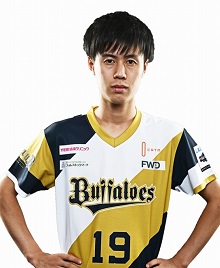 ���������꡼ No.015�Υ���ͥ������ / �ѥ�ץ���e���ݡ��ĥ꡼����eBASEBALL �ץ��꡼����2019�������� �ץ쥤�䡼���ե������Ǻܡ���48����ξ��������å����褦