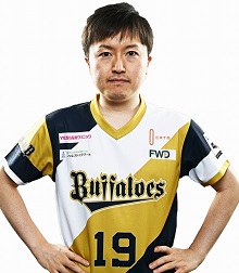 ���������꡼ No.016�Υ���ͥ������ / �ѥ�ץ���e���ݡ��ĥ꡼����eBASEBALL �ץ��꡼����2019�������� �ץ쥤�䡼���ե������Ǻܡ���48����ξ��������å����褦