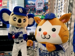 ꡼ No.014 | ꡼ϵ͡ѡ꡼ϥեȥХ󥯤̥ȡѥץeݡĥ꡼eBASEBALL ץ꡼2019󤬳