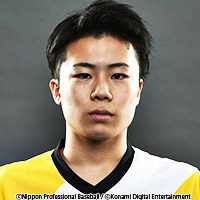 ���������꡼ No.005�Υ���ͥ������ / ��eBASEBALL �ץ��꡼����2019��������θĿͥ����ȥ���޼Ԥ����ꡣ��������֥����������� e���饤�ޥå������꡼���פ����Ť�