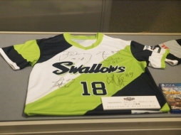 ꡼ No.004Υͥ / Ʋʪۤˤơѥץeݡĥ꡼eBASEBALL ץ꡼2019˴ؤδ£