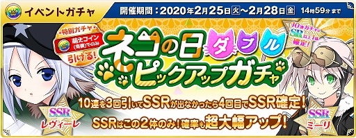 ꡼ No.008 | ˨ס֥ͥ٥ȡפ229곫