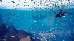 ���������꡼ No.006�Υ���ͥ������ / BitSummit��ȯ����James Mielke�᤬������������Ω����1���Jupiter & Mars�פ�ȯɽ