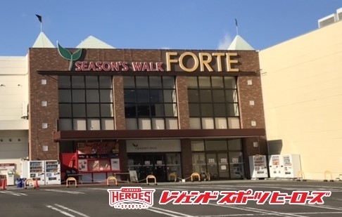 ���������꡼ No.002�Υ���ͥ������ / �θ������ݡ��ĥơ��ޥѡ����֥쥸����ɥ��ݡ��ĥҡ��������ץե���Ƶܾ���ϸ�Ź��12��˥����ץ�