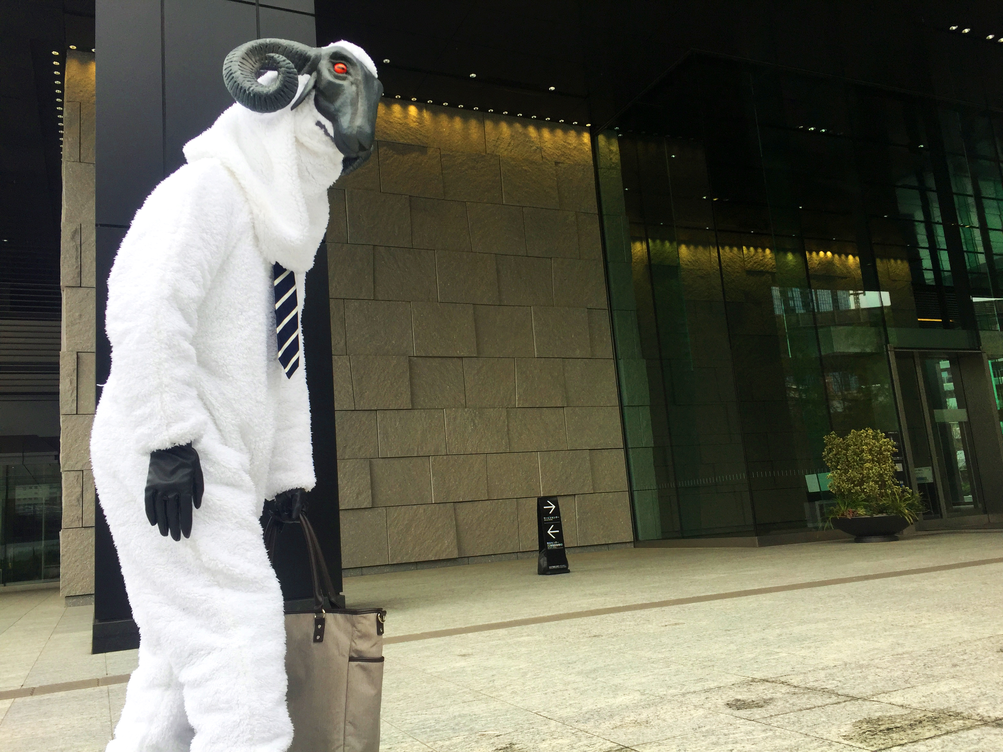 ꡼ No.003 | ֥㥵󡦥եܥǥס1029114ˤơSHEEP WEEKץڡ»