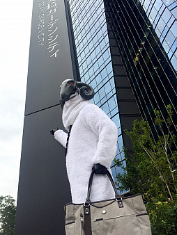 ꡼ No.002Υͥ / ֥㥵󡦥եܥǥס1029114ˤơSHEEP WEEKץڡ»