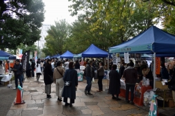 ꡼ No.003Υͥ / ǡ֥㥵󡦥եܥǥפΡ2祤٥ȡɤšθǹԤ줿֤Ȥɡߥå ڥȡ祦פݡ