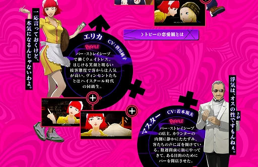 ꡼ No.007 | ֥㥵󡦥եܥǥסθǤδۥĥȥڡ»ܡ3ͤΥ֥