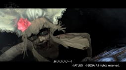 ꡼ No.048Υͥ / ȯ֥㥵󡦥եܥǥץץ쥤ݡȡȥǥݾڡɤϿ¤ѥ뤬ʥޡȥ饤Ƥߤ