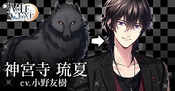 ꡼ No.004Υͥ / WolfToxic-ˤ˵Ĥ-סϿڡ󤬳