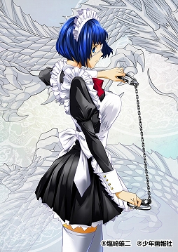 ꡼ No.003Υͥ / ֻޥ󥹡סְ̡쵳פȤΥܤȡܸꥭ餬о