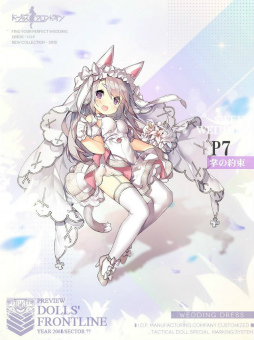 ���������꡼ No.005�Υ���ͥ������ / �֥ɥ�ե��׿�������ơ��ޡȽ��������ɤ��󶡳��ϡ������ȶ񥻥åȤ�Ҳ�