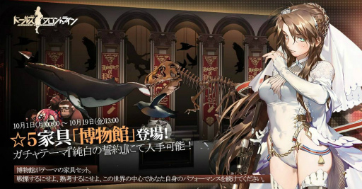 ���������꡼ No.029�Υ���ͥ������ / �֥ɥ�ե��׿�������ơ��ޡȽ��������ɤ��󶡳��ϡ������ȶ񥻥åȤ�Ҳ�