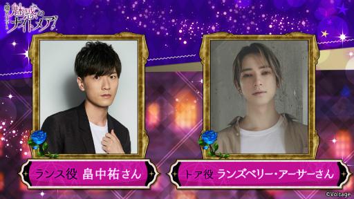 ꡼ No.003 | ⳦Ҥ̥ǤΥʥȥᥢ4.5ǯǰۿ10142130»