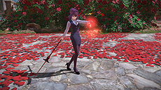 ꡼ No.036 | Fate/EXTELLA LINKפΥ硼ȥץ쥤ư5Ƥϥ롦ɡ쥧ȥ󥹥åȡॷƥκǿ