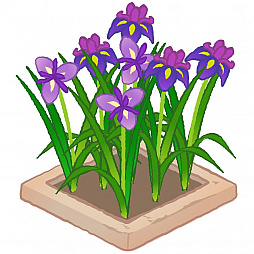 ꡼ No.005 | ̡֥ԡ 饤աסüơޤˤꥢƥब륤٥Ȥ򳫺