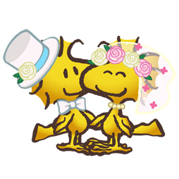 ꡼ No.003Υͥ / ̡֥ԡ 饤աס塼֥饤ɤơޤˤꥢƥबо