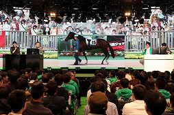 ꡼ No.005 | ֥ӡꥪ ޥס2 ӥޥ·פΥ٥ȥݡȤ