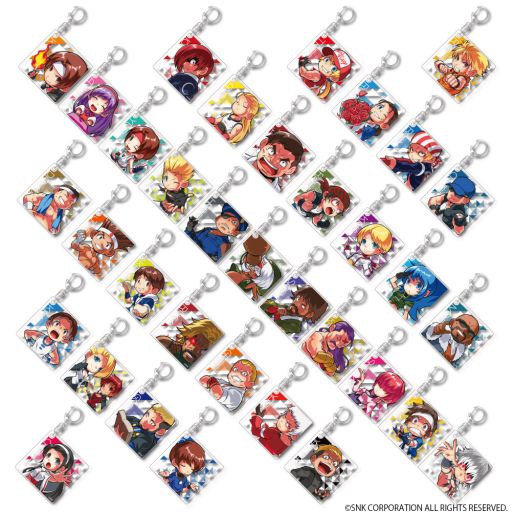 ꡼ No.009 | SNKŸʪΥ٥Ȥȥ֥佩ոۤ428鳫