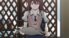 ꡼ No.006 | ֤Ф餷Τ The Animationפκ̲񵭻䥢˥˷ȤäꥨȤФɤ̥Ϥ