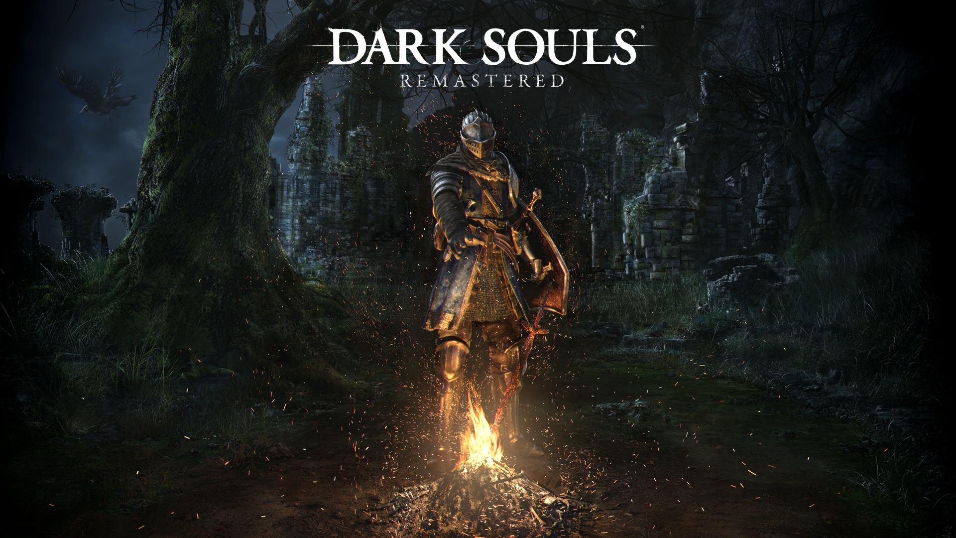 画像集 001 初心者を中級者へと導く Dark Souls ダークソウル で死な