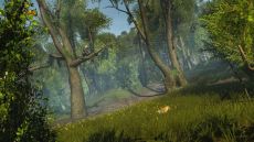 ꡼ No.010 | ֥ ꡼  ޥפȯ䡣碌ƥȥ쥤顼ȿʥ꡼󥷥åȤ