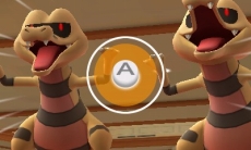 ꡼ No.003 | ̾õԥ奦סʪΥ򰮤֥ߥ奦ġסCVë Űˤʤɤο餫ˡθǤ3ܤۿ