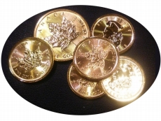 ���������꡼ No.007�Υ���ͥ������ / Nintendo Switch�ǡ�Neo ATLAS 1469�פ�����ȯ�䡣Twitter����Ѥ����Ͽ����񥭥��ڡ��󤬳��Ť�