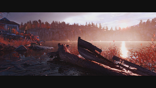 ꡼ No.002 | ֥ȥ סȷëɤҲ𤹤4Kȥ쥤顼θȤ餷ФԵ̣֤缫å褦