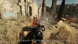 ꡼ No.001Υͥ / ХХ륷塼֥ȥ ס¿̤ȥޥ˾Ƥݥȥ쥤顼