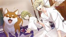 ꡼ No.003 | ڤʤȡȾФɤͤޤäз ϥϲ̡ Honeymoonξݡ