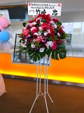 ꡼ No.017 | ڤʤȡȾФɤͤޤäз ϥϲ̡ Honeymoonξݡ