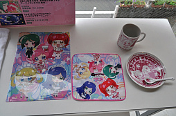 ꡼ No.017Υͥ / ֥äȥץ ץꥺॹȡ󥫥եɡפݡȡ򥤥᡼İƤ˥塼äѤ