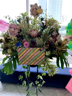 ꡼ No.033 | ⤵4ǯ֤οʡ֥ץѥäȥץWinter Live 2019ݡ