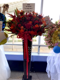 ꡼ No.053 | ⤵4ǯ֤οʡ֥ץѥäȥץWinter Live 2019ݡ