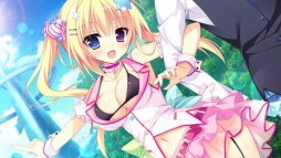 ꡼ No.002 | ɥ٥㡼֥ʥĥפ426ȯ䡣Źŵ