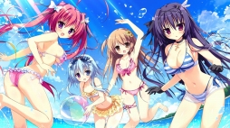 ꡼ No.003 | ɥ٥㡼֥ʥĥפ426ȯ䡣Źŵ