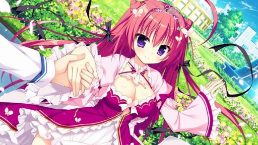 ꡼ No.006 | ɥ٥㡼֥ʥĥפ426ȯ䡣Źŵ