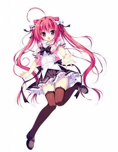 ꡼ No.019 | ɥ٥㡼֥ʥĥפ426ȯ䡣Źŵ