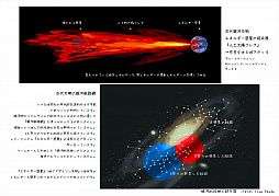 ꡼ No.004 | ᥫΥѥɥס饯ᥫѤ˴ؤǿ