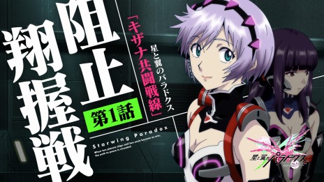 ꡼ No.008Υͥ / Υѥɥפ緿С󥢥åפ1030˼⡼ɡ֥ʶƮפо