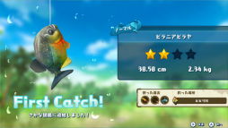 ꡼ No.003Υͥ / Switchѥեȡꥹ ɥĥפۿϡJoy-Con䡤Nintendo LaboפToy-ConȤäľŪ꤬ڤ