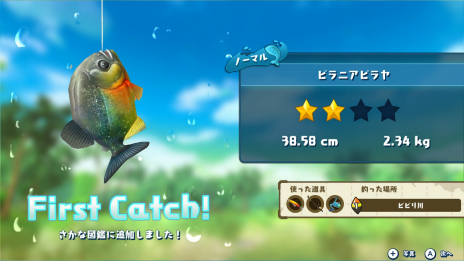 ꡼ No.006Υͥ / Switchѥեȡꥹ ɥĥפۿϡJoy-Con䡤Nintendo LaboפToy-ConȤäľŪ꤬ڤ