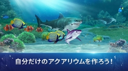 ꡼ No.005 | Хեå󥰥֥եå󥰥ȥ饤פ꡼ιʤ500ʾε夲褦