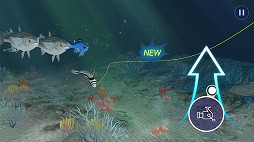 ꡼ No.005 | ޥ۸ꥲ֥եå󥰥ȥ饤פҲ𤹤֡ʤۤܡޥۥ̿1704