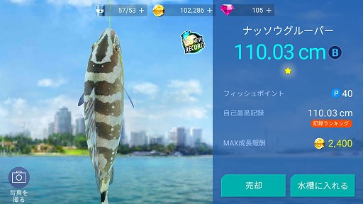 ꡼ No.008 | ޥ۸ꥲ֥եå󥰥ȥ饤פҲ𤹤֡ʤۤܡޥۥ̿1704