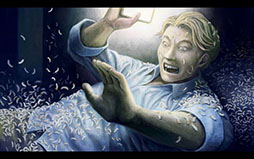 ꡼ No.005 | ޥۥץֿ ήԤ ԡפ꡼Ĥ륨ԥɡֿͷԡס̩ԡפ3缡ۿͽ