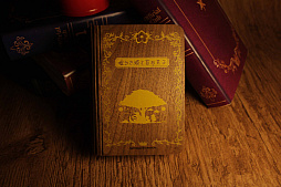 ꡼ No.002 | ֱĤɱܲҡסȱĤɱɥ֥å饤2Ƥо졣2117100Ĥ