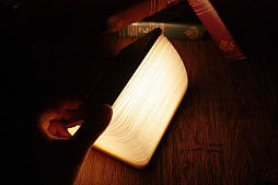 ꡼ No.003 | ֱĤɱܲҡסȱĤɱɥ֥å饤2Ƥо졣2117100Ĥ