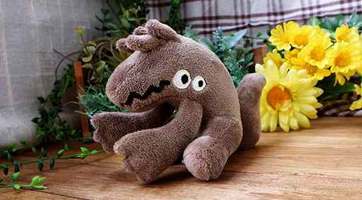 ꡼ No.001 | ֱĤɱܲҡסȯ1ǯǰ˥С꡼å2Ƥȯ